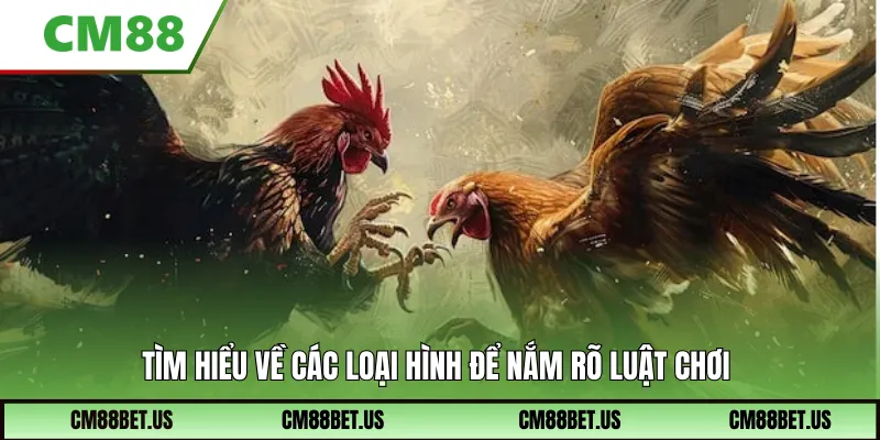 Tìm hiểu về các loại hình để nắm rõ luật chơi