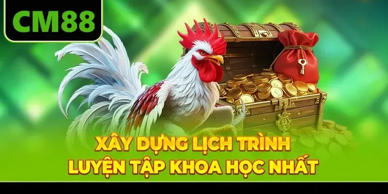 Xây dựng lịch trình luyện tập khoa học nhất