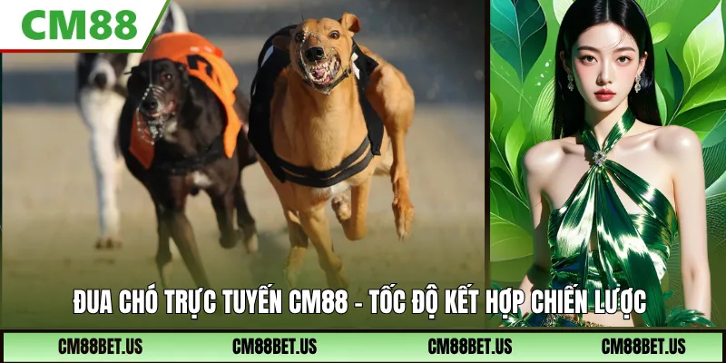 Đua Chó Trực Tuyến CM88 – Trải Nghiệm Cá Cược Tốc Độ Thu Hút