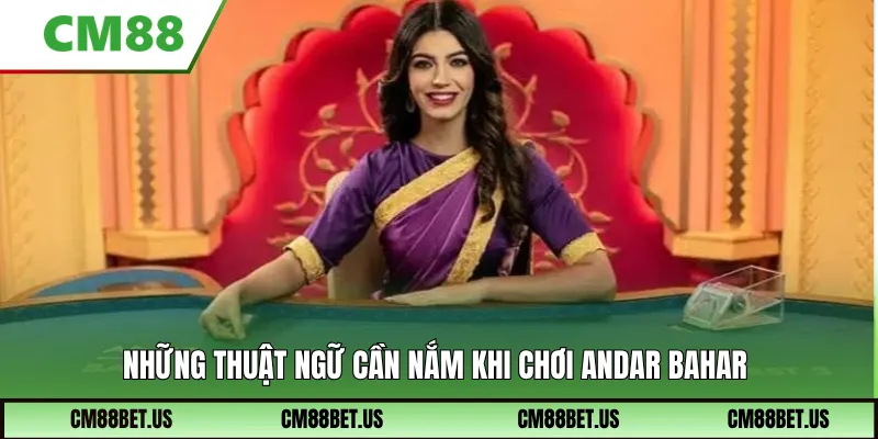 Những thuật ngữ cần nắm khi chơi Andar Bahar